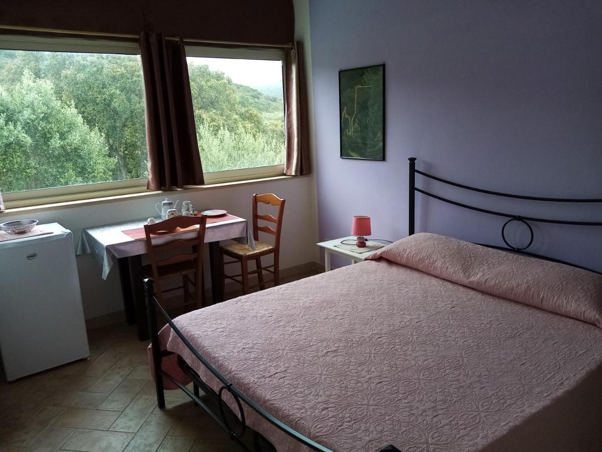 B&B Valli Verdi 알게로 외부 사진